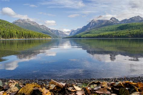 Captivating Autumn colors at Bowman Lake - Glacier National Park