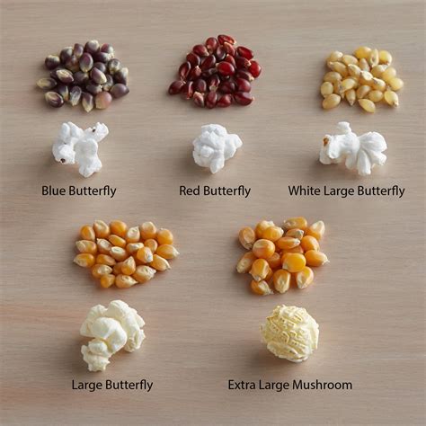 50 lb. Bulk Bag Mushroom Popcorn Kernels: Shop Wholesale!