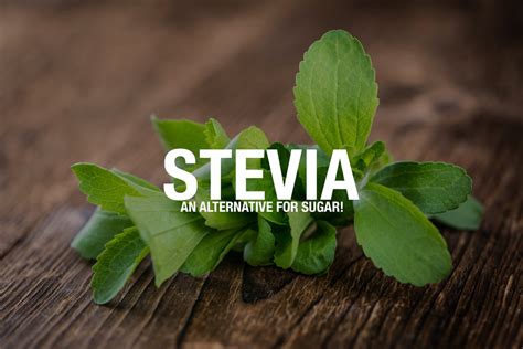 Stevia: An Alternative for Sugar | BlueSkyVitamin | Blog — Blue Sky Vitamin