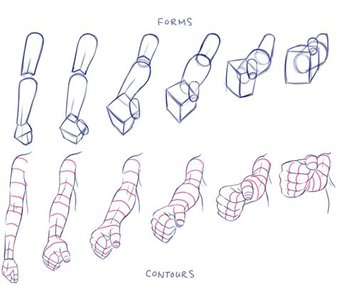 Arms Foreshortening Perspective Hands Arm Drawing Anatomy Drawing ...