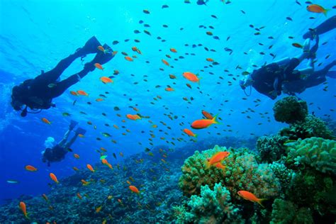 Best Diving Spots in Costa Rica - Personalized Trip to the Pacific