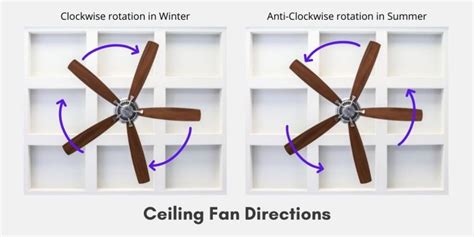 Ceiling Fan Directions for Summer vs Winter [Infographic]