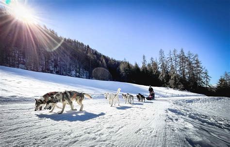 BEST winter activities in Finland - The Walking Parrot