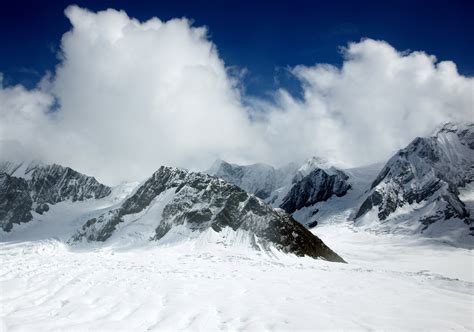 Mount McKinley or Denali, Alaska, Denali National Park. image - Free ...