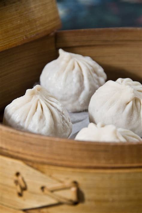 Steamed dumplings stock photo. Image of vegetable, dumpling - 18973590