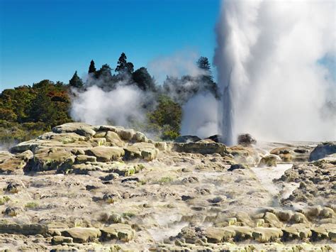 Rotorua Shore Excursion Te Puia Geysers and Kiwi Bird