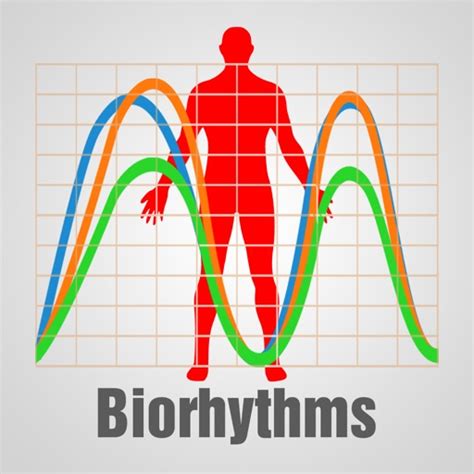 Biorhythm Chart by LONG NGUYEN