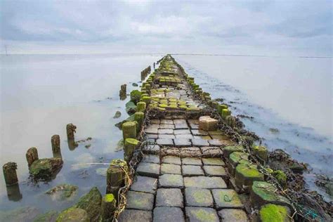 Ram Setu Floating Stone Facts and Truth | Mystery of the Floating Stones!