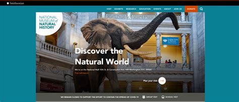 Digital offering at the Smithsonian National Museum of Natural History of Washington | Digital ...