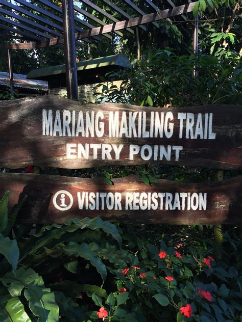 Mount Makiling (Los Banos, Laguna) - Pinoy Trails | The Trail is Our ...