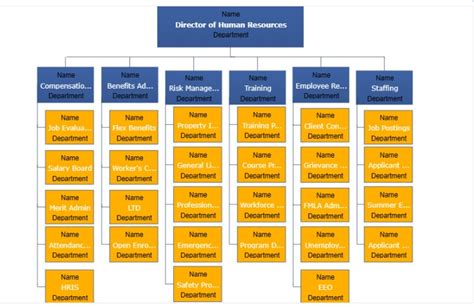 What Is HR Department in Business? How to Structure the HR Department?