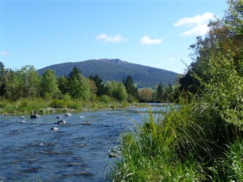 Tongariro River Trail, Waikato - Trails Photo Gallery - Wild Things