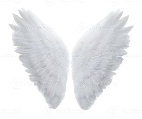 white angel wings isolated on white background. . 22561838 Stock Photo ...