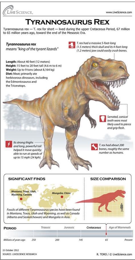 Dinosaur Profile: Tyrannosaurus Rex (Infographic) | Tyrannosaurus rex ...