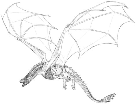 Flying Dragon Drawing at GetDrawings | Free download