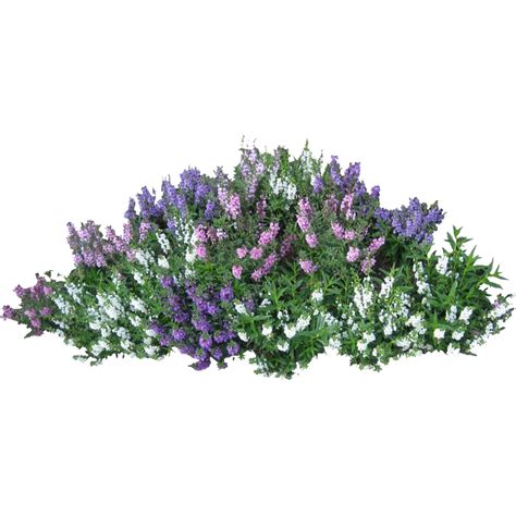 flower bush png - Clip Art Library