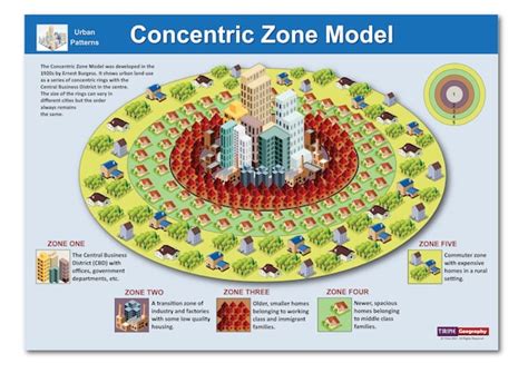 Concentric Zone Model Geography Urban Patterns Classroom | Etsy