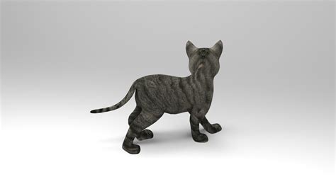 3D cute cat rigged model - TurboSquid 1160432