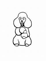 18  Poodle Coloring Page RuebieMirab sketch template