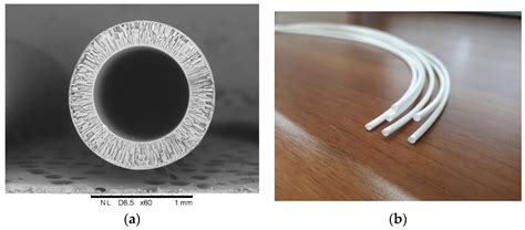 Fibers | Free Full-Text | Gas-Liquid Hollow Fiber Membrane Contactors for Different Applications