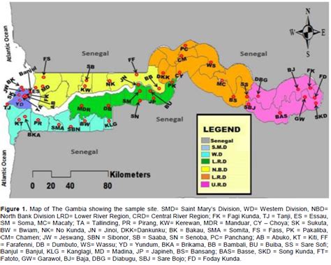 African Journal of Biotechnology - wolbachia infected anthropophilic ...