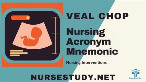 VEAL CHOP Nursing: A Guide to Fetal Heart Rate Pattern Interpretation ...