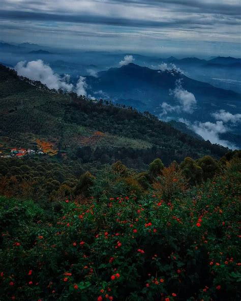 Most Attractive & Beautiful Tourist Places In Kodaikanal ...