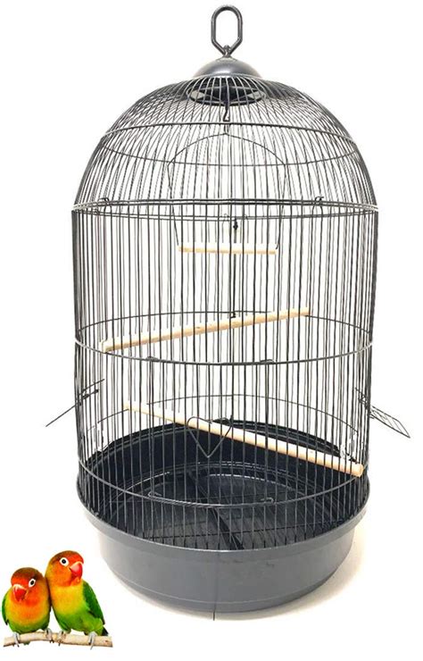 10 Best Decorative Canary Bird Cages for Your Home - Hummingbirds Plus