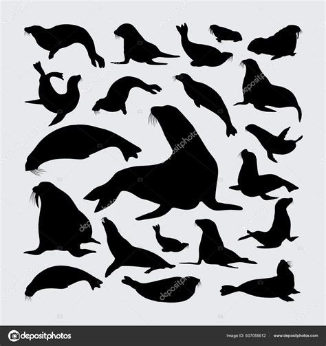 Sea Lion Silhouette Set Sea Lion Silhouettes Stock Vector by ©nurakenza 507055612