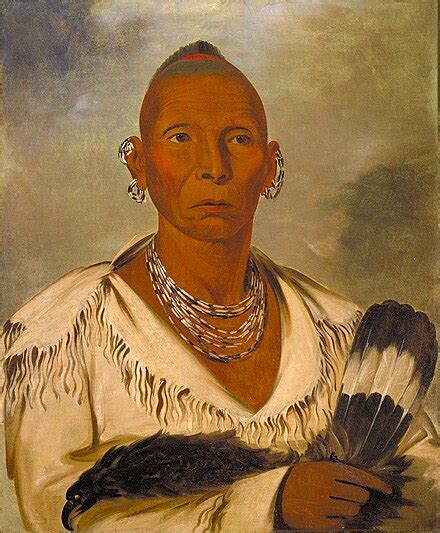 Black Hawk (Sauk leader) - Wikipedia