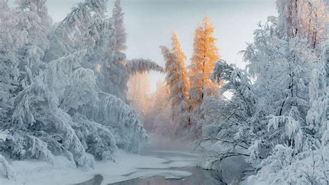 Oymyakon – Bing Wallpaper Download