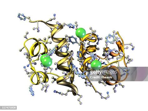 38,852 Protein Structure Stock Photos, High-Res Pictures, and Images ...