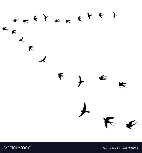 Birds fly icon Royalty Free Vector Image - VectorStock