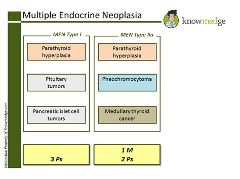 Board Review: Multiple Endocrine Neoplasia (MEN) syndromes : USMLE / Internal Medicine ABIM ...