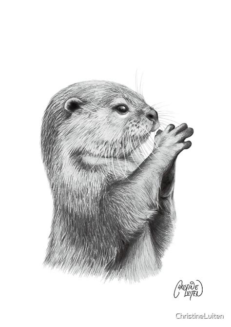 "Otter Pencil Sketch" by ChristineLuiten | Redbubble