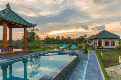 20 Best Budget Hotels in Bali under $50: Seminyak, Ubud, Canggu and more