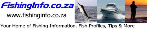 Galjoen - FishingInfo.co.za