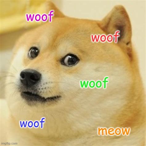 Doge Meme - Imgflip