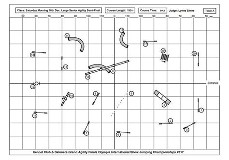 Pin by Ian Radford on Agility Courses | Dog agility course, Dog agility ...