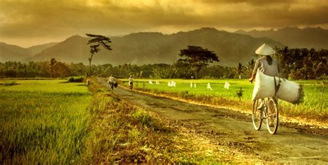 4 BIDANG PENYELENGARAAN KEGIATAN DI DESA - Pendamping Desa