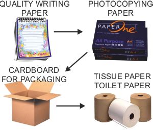 The Ups and Downs of Open Loop Recycling: Upcycling vs. Downcycling | Open Loop Recycling