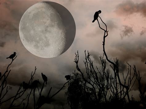 Halloween Full Moon Free Stock Photo - Public Domain Pictures