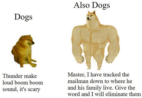 Swole Doge Vs Cheems Meme Template : Made A New Swole Doge Vs Smort ...