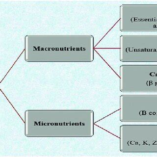 The nutritional profile of mycoprotein. | Download Scientific Diagram