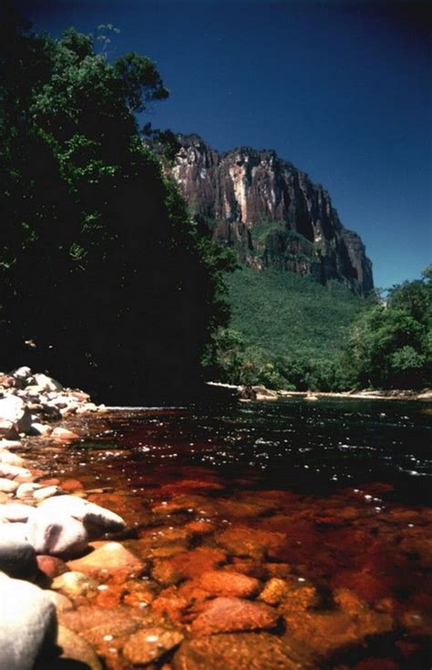 salto angel canaima www.venezuelanature.com Homeland, South America, Amazing, The Good Place ...