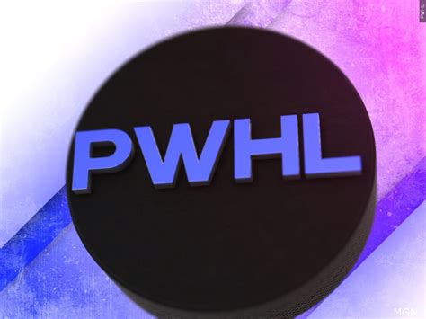 PWHL unveils team nicknames and logos entering women's hockey league's ...