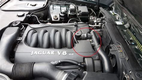 "Whining" noise from engine. - Jaguar Forums - Jaguar Enthusiasts Forum