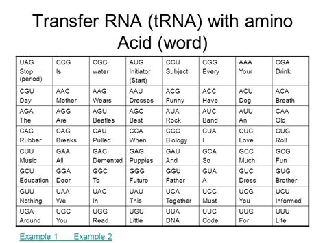 Anticodon Chart