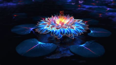 Lotus, Flower, Glowing, Colorful, 4K, 3840x2160, #23 Wallpaper PC Desktop