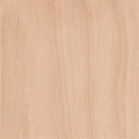 Downy Birch | The Wood Database (Hardwood)